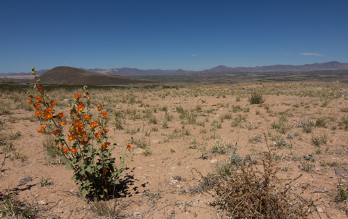 Mac Observatory to Safford-90